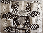 "Laced Up" by Deborah McDermott